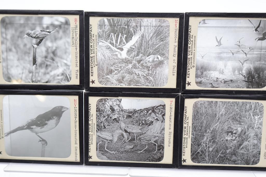 Vintage Keystone View Company Stereoview Slide Collection in Original Storage Box - 9