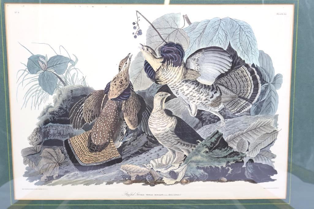 Two Vintage J.J. Audubon Framed Prints - 2