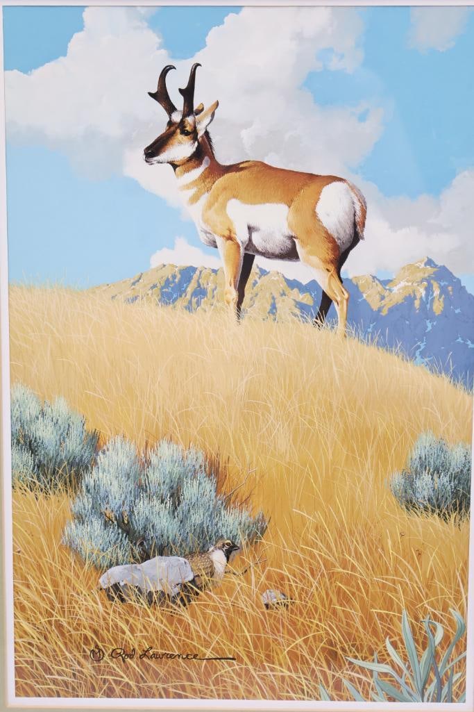 Rod Lawrence 'A Pronghorn Buck' Gouache Painting - 2