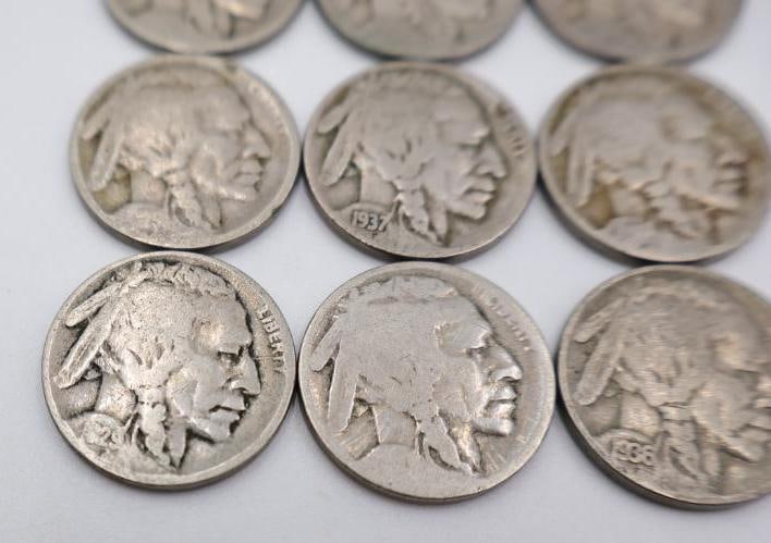Nine Buffalo Head Nickels - 2