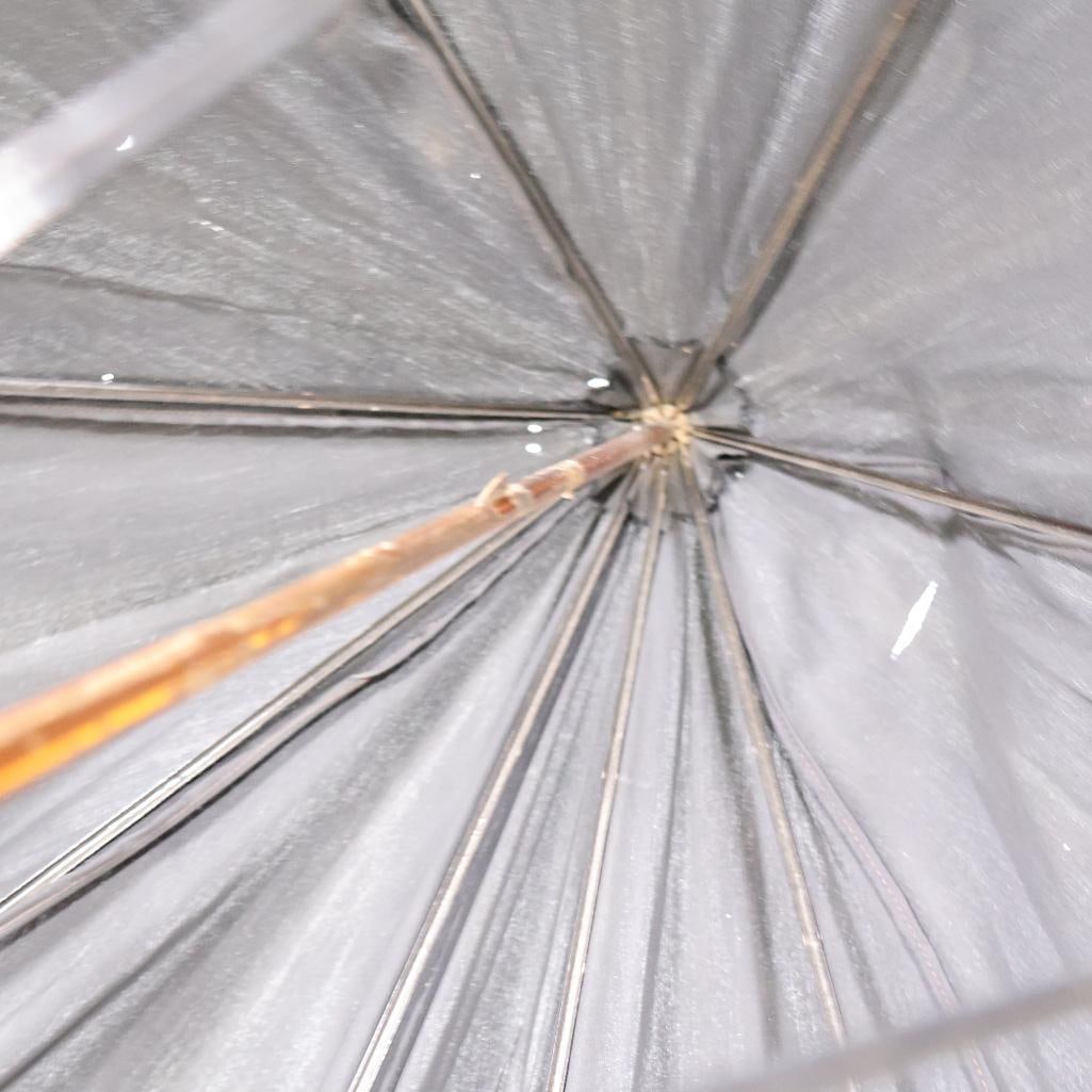 Antique Gold Plated Handle Umbrella - 10