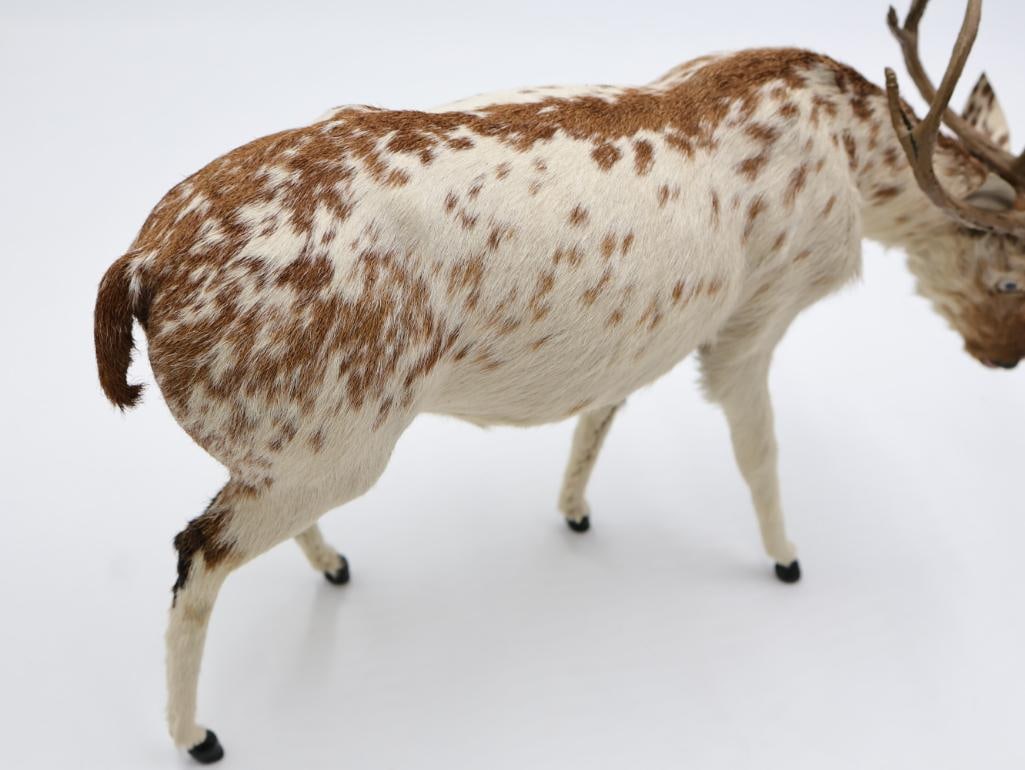 Vintage Amusement Park Taxidermy Deer - 10