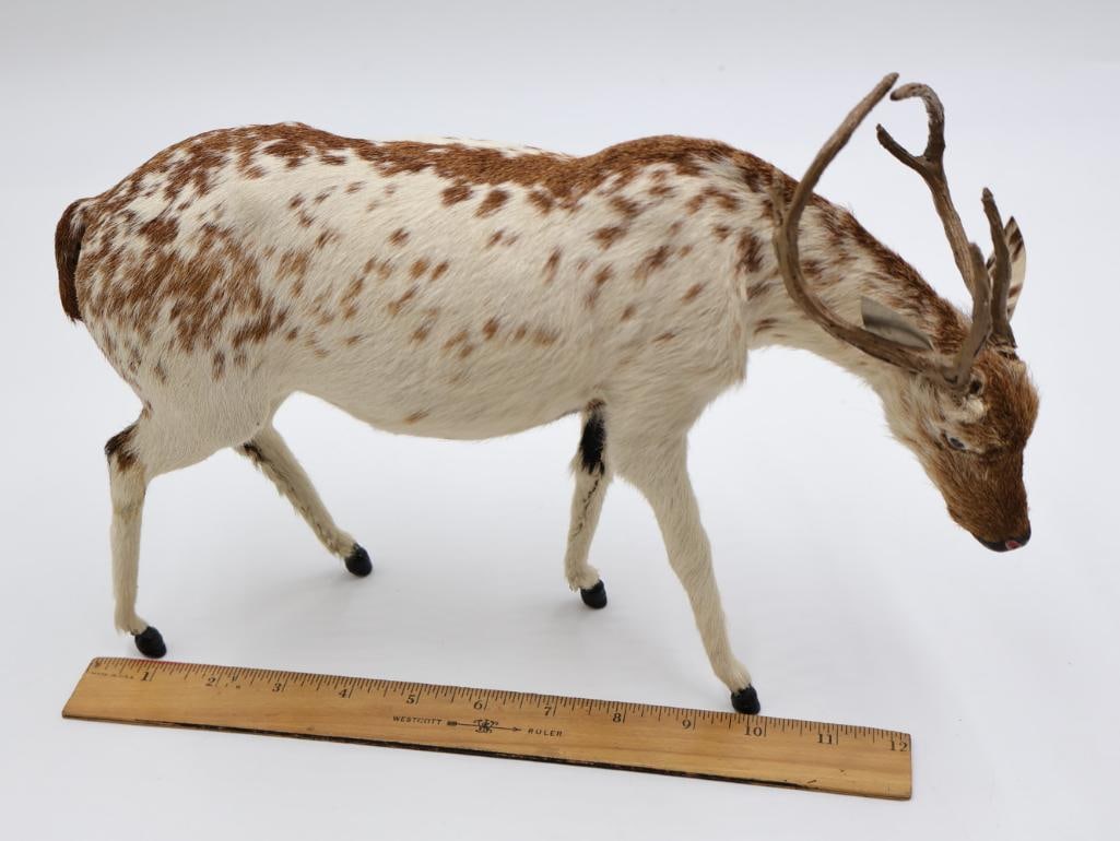 Vintage Amusement Park Taxidermy Deer - 7