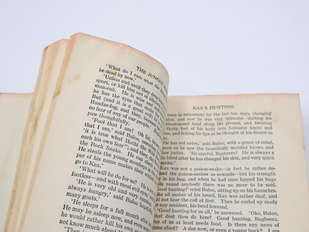 1907 The Weavers and 1930's Jungle Books - 17