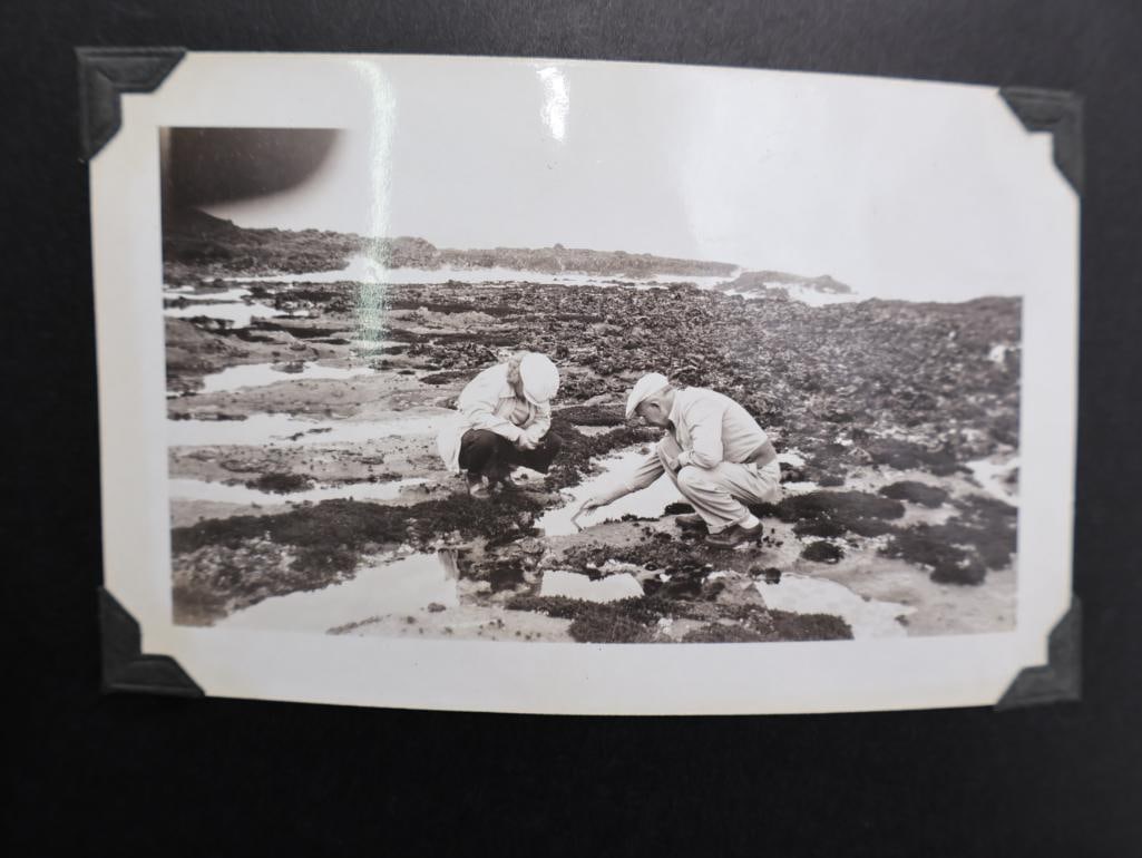 Pair of Antique Photo Albums - 6