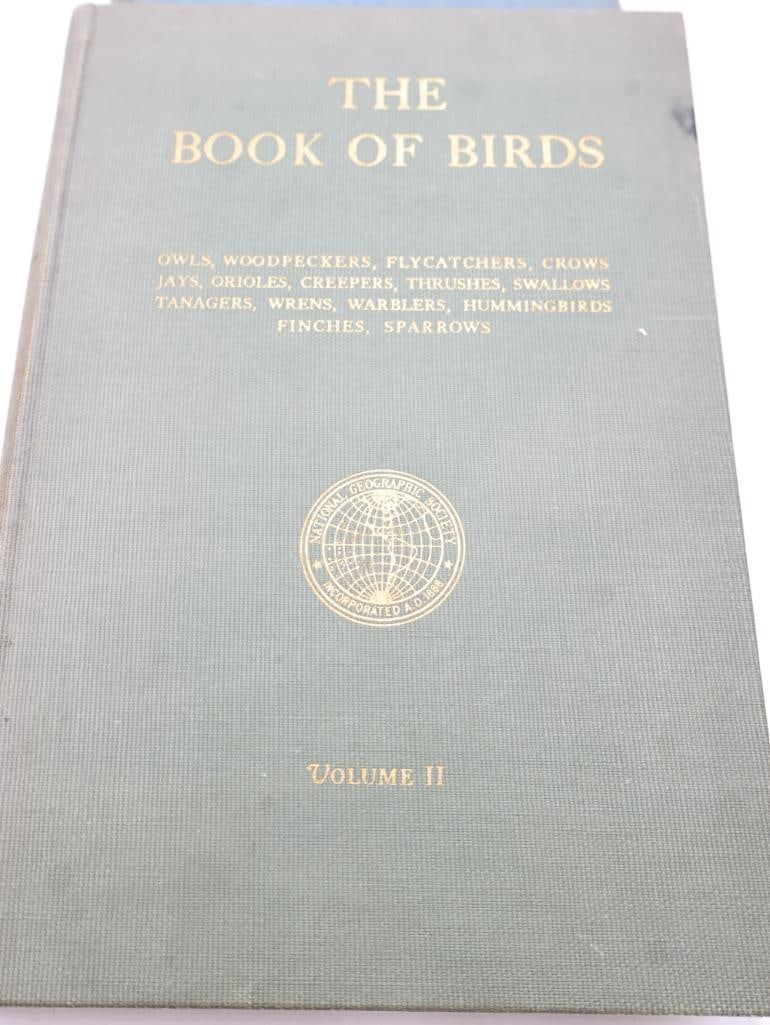 Three Vintage National Geographic Books of Birds and Fishes - 10