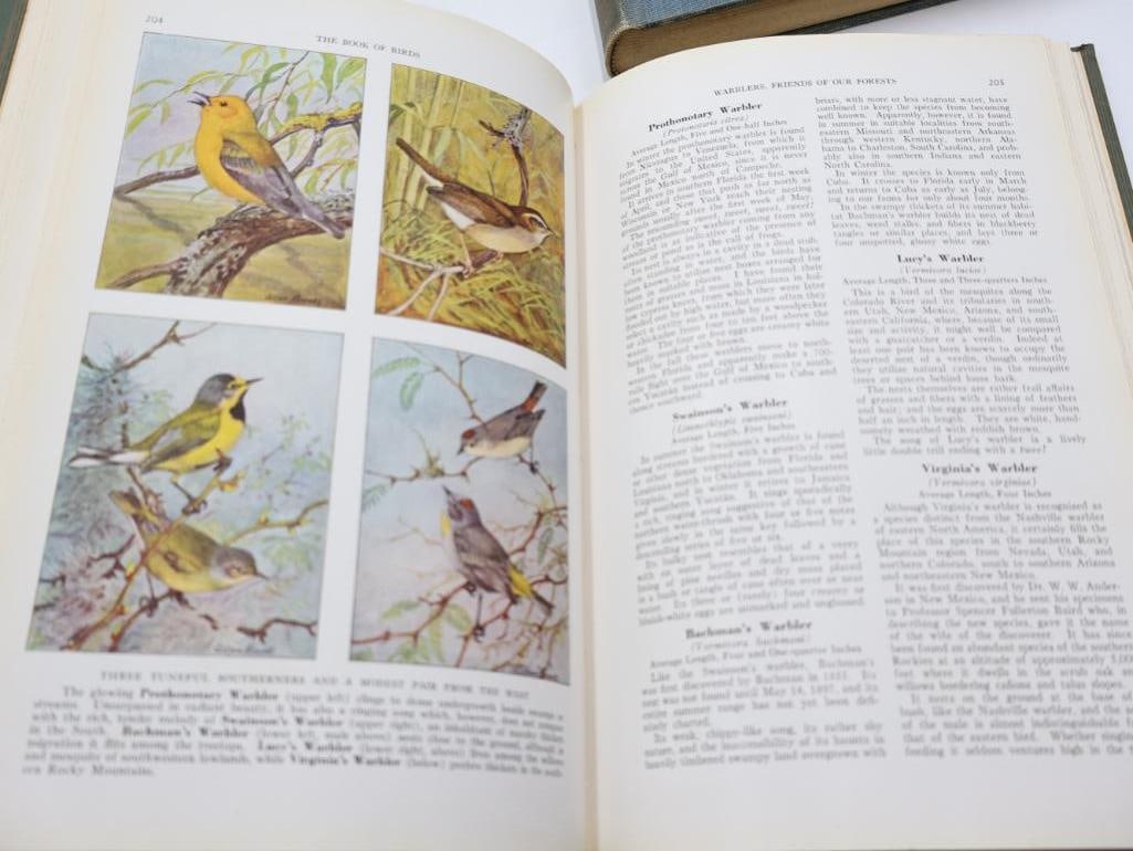 Three Vintage National Geographic Books of Birds and Fishes - 14