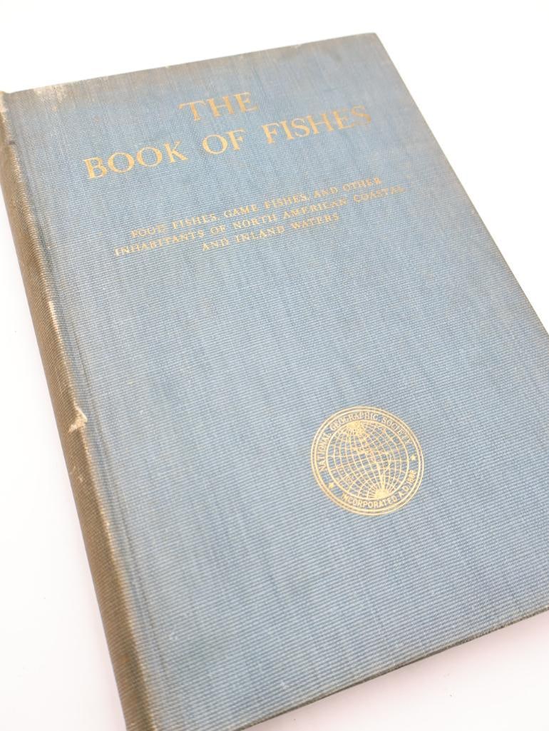 Three Vintage National Geographic Books of Birds and Fishes - 15