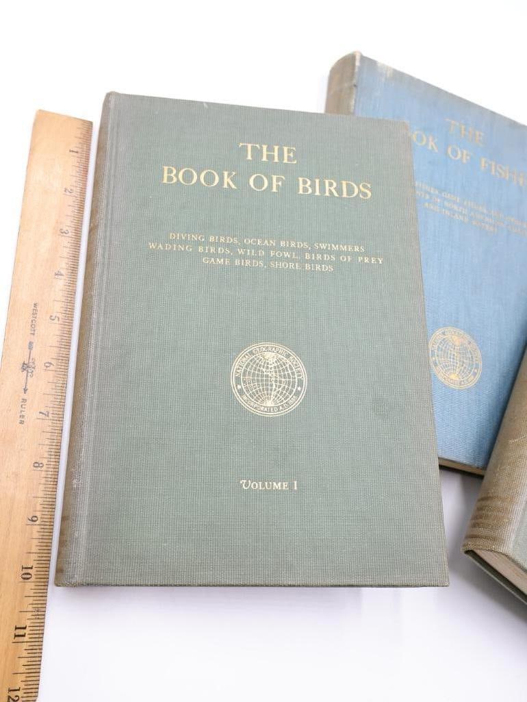 Three Vintage National Geographic Books of Birds and Fishes - 2