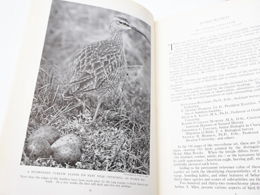 Three Vintage National Geographic Books of Birds and Fishes - 6