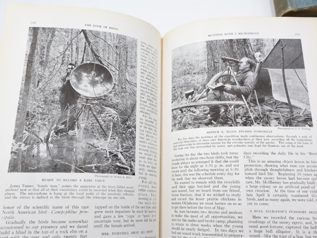 Three Vintage National Geographic Books of Birds and Fishes - 9