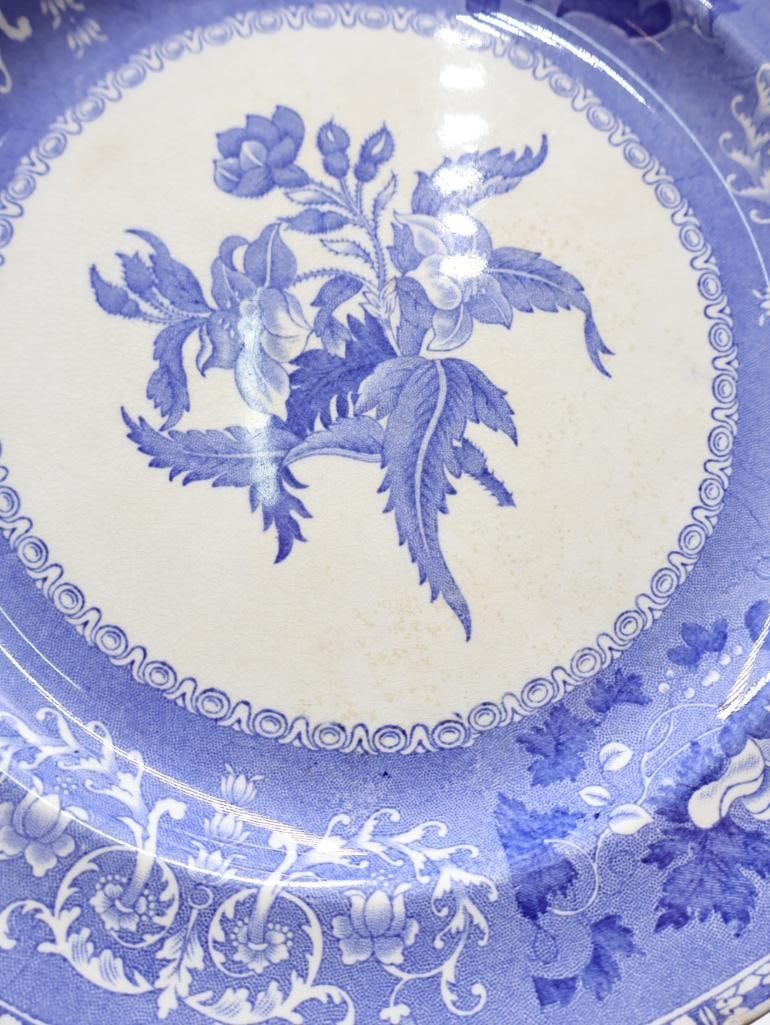 Set of Spode Blue Transferware Camilla Plates - 3