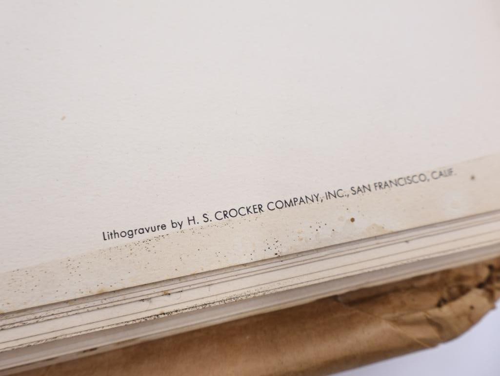 Large Stack of Vintage Lithogravure Prints of Germain's Peacock-Pheasant - 6