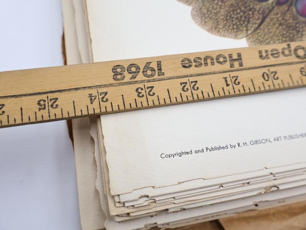 Large Stack of Vintage Lithogravure Prints of Germain's Peacock-Pheasant - 8