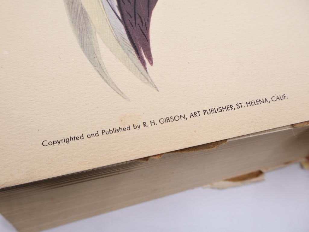 Large Stack of Vintage Lithogravure Prints of Swinhoe's Pheasant - 8