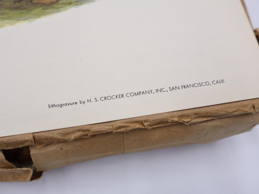 Large Stack of Vintage Lithogravure Prints of Himalayan Impeyans - 5