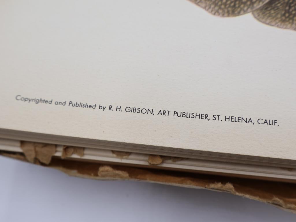 Large Stack of Vintage Lithogravure Prints of Germain's Peacock-Pheasant - 4