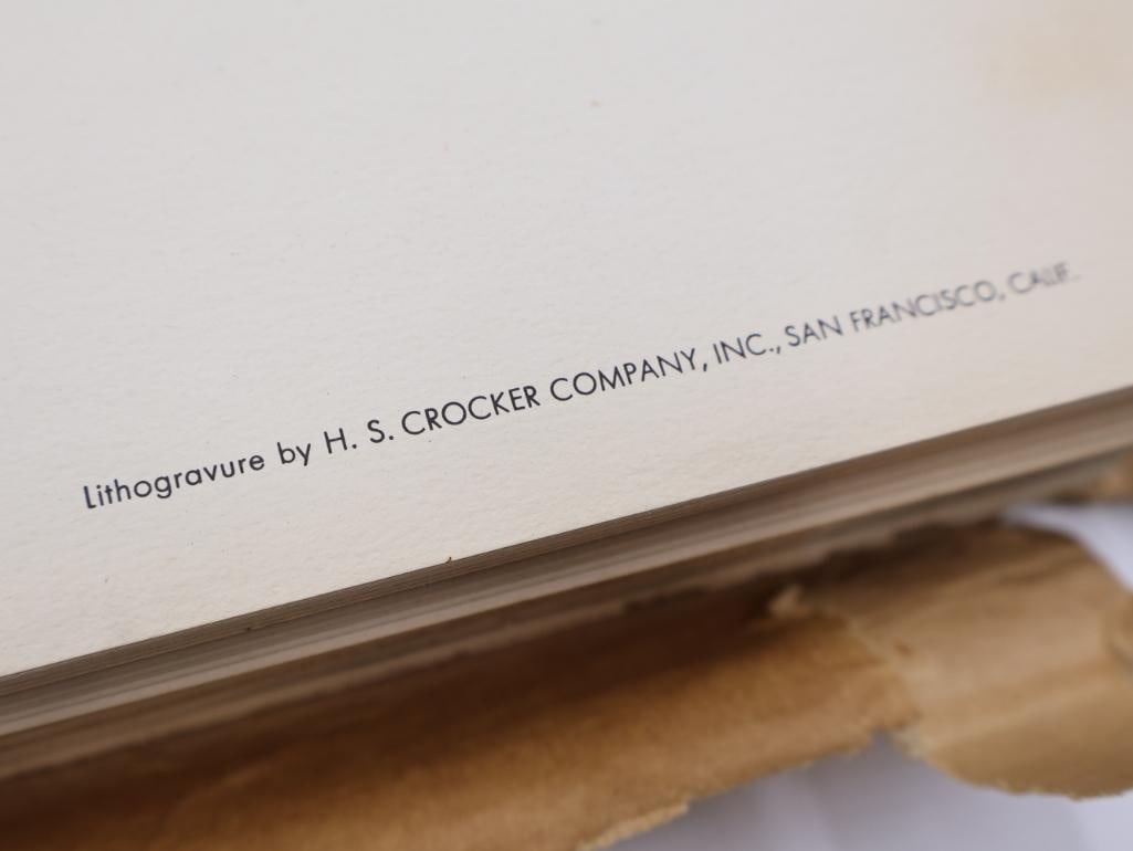 Large Stack of Vintage Lithogravure Prints of Germain's Peacock-Pheasant - 5