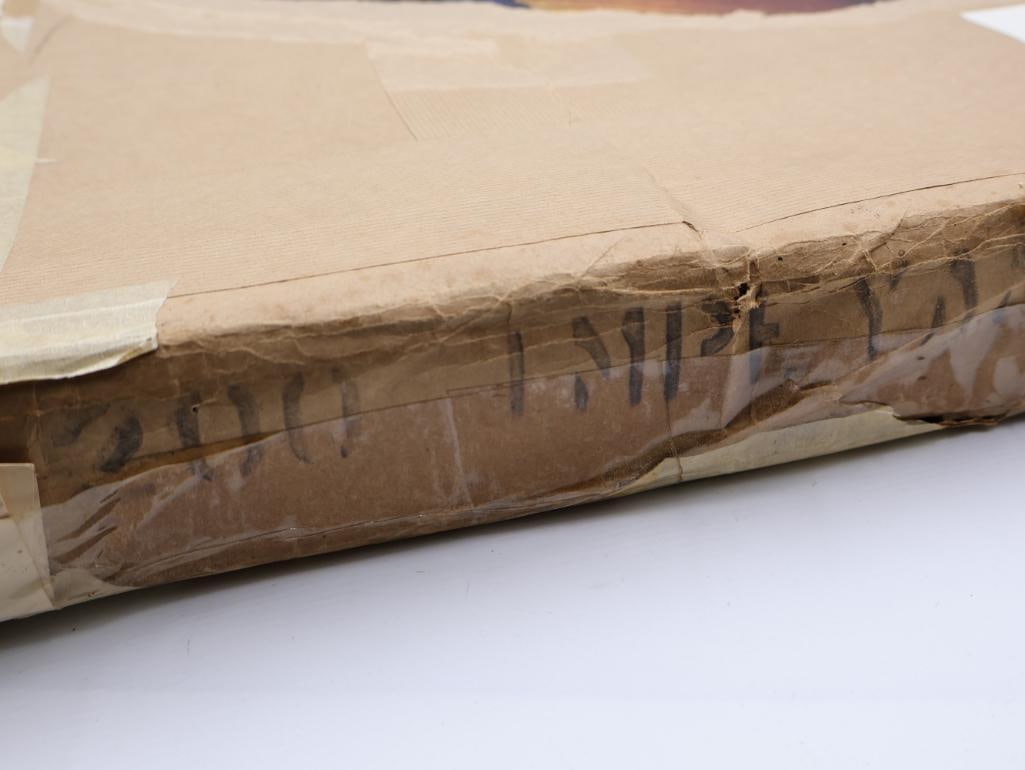 Large Stack of Vintage Lithogravure Prints of Himalayan Impeyans - 12