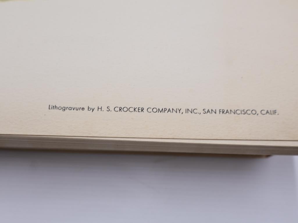 Large Stack of Vintage Lithogravure Prints of Himalayan Impeyans - 7