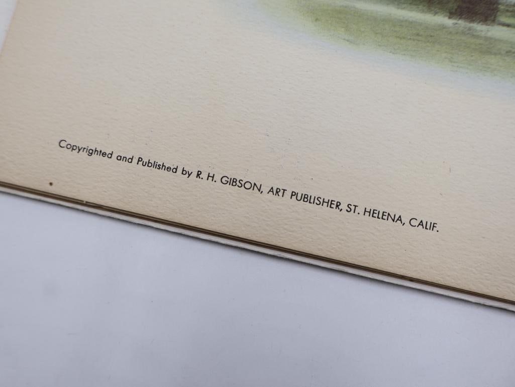 Stack of Vintage Lithogravure Prints of Siamese Crested Fireback - 4