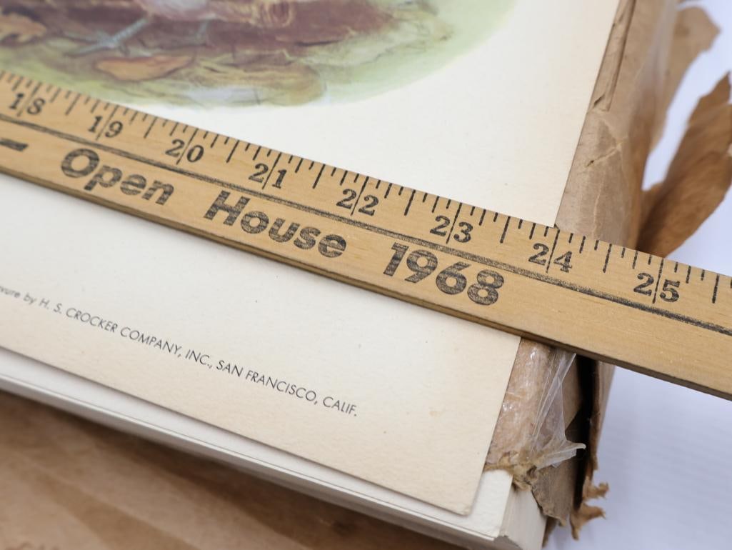 Large Stack of Vintage Lithogravure Prints of Himalayan Impeyans - 4