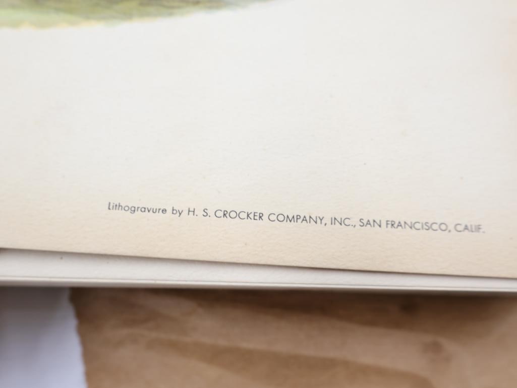 Large Stack of Vintage Lithogravure Prints of Himalayan Impeyans - 7