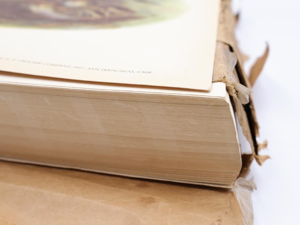 Large Stack of Vintage Lithogravure Prints of Himalayan Impeyans - 8