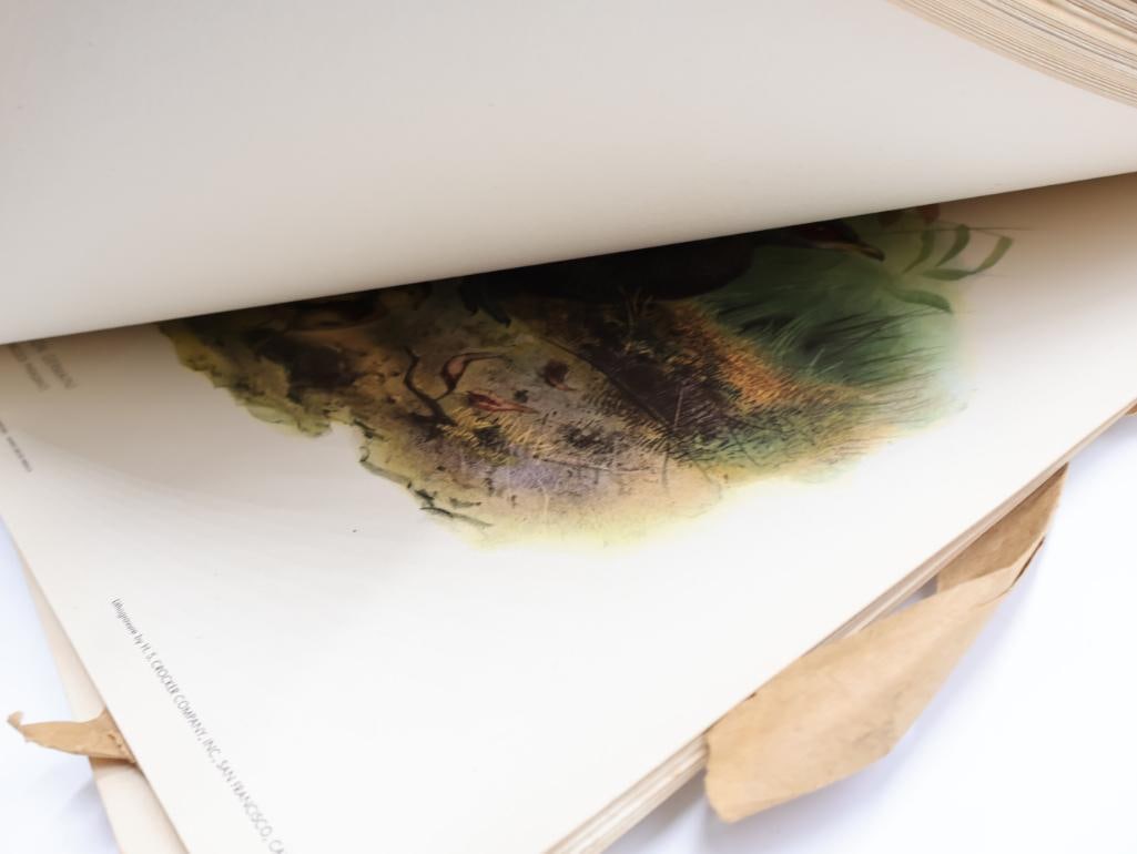 Large Stack of Vintage Lithogravure Prints of Germain's Peacock-Pheasant - 11