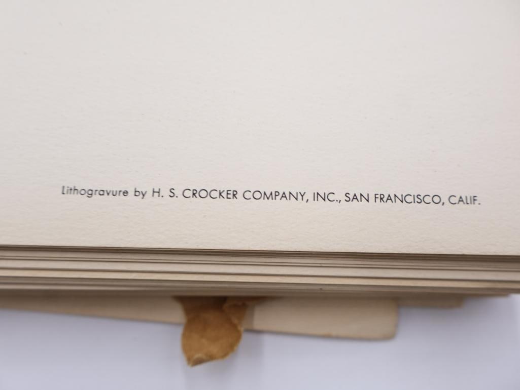 Large Stack of Vintage Lithogravure Prints of Germain's Peacock-Pheasant - 5