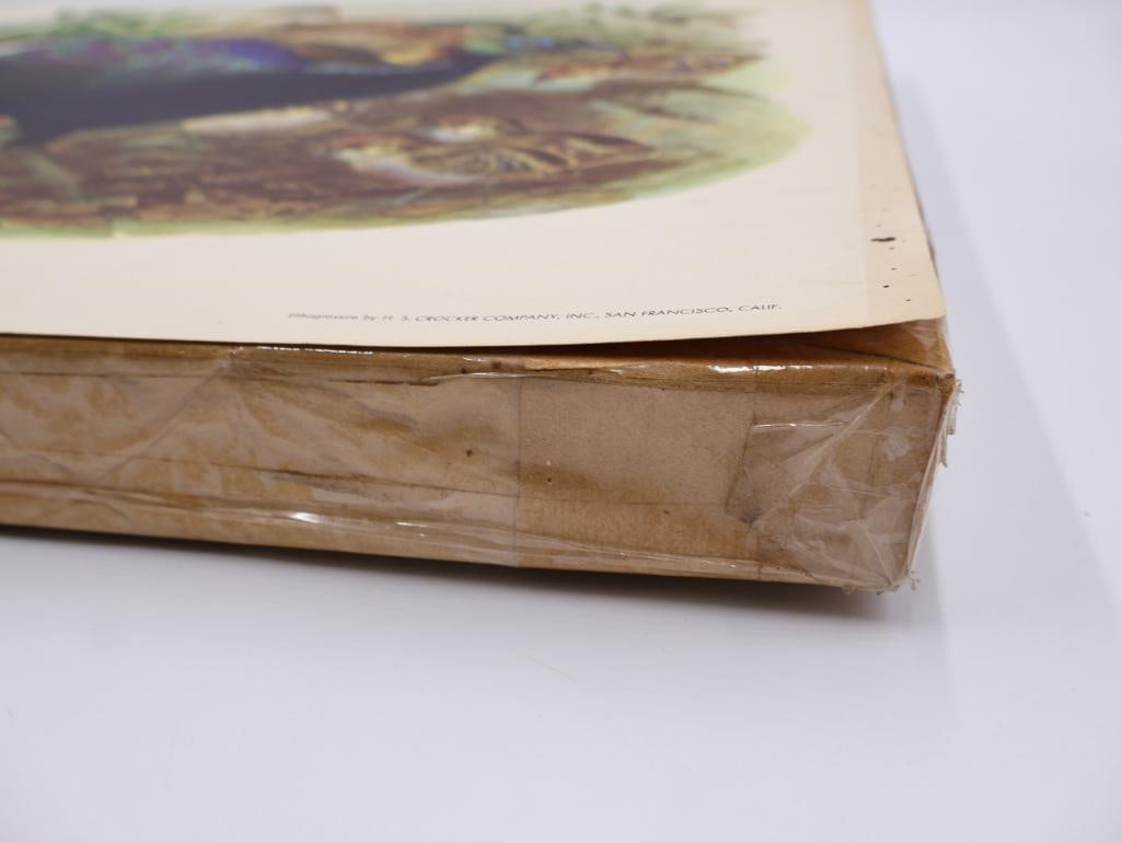 Large Stack of Vintage Lithogravure Prints of Himalayan Impeyans - 3