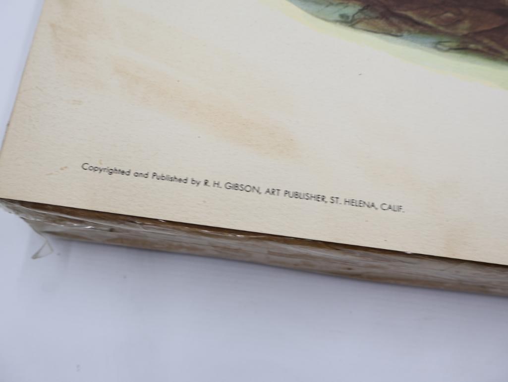 Large Stack of Vintage Lithogravure Prints of Himalayan Impeyans - 5