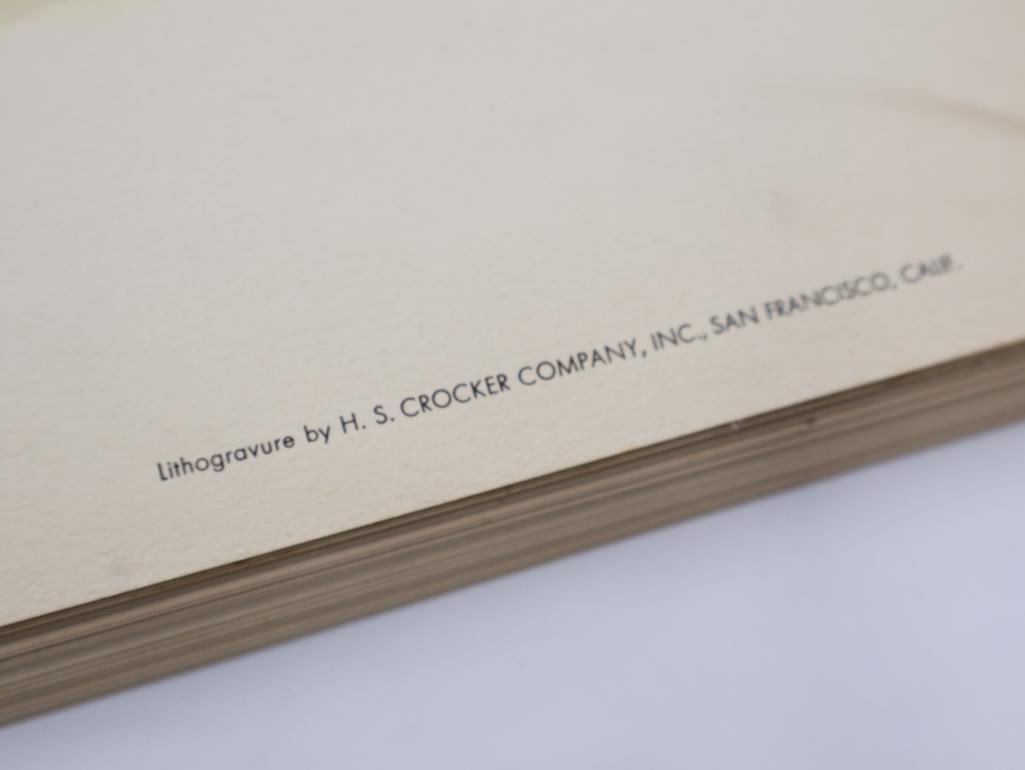 Large Stack of Vintage Lithogravure Prints of Swinhoe's Pheasant - 5