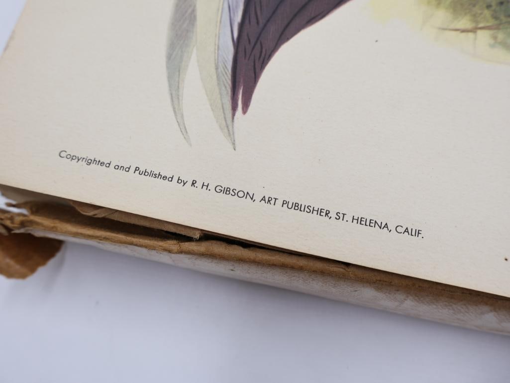 Large Stack of Vintage Lithogravure Prints of Swinhoe's Pheasant - 4