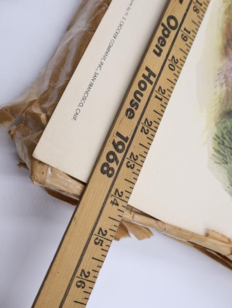 Large Stack of Vintage Lithogravure Prints of Swinhoe's Pheasant - 7