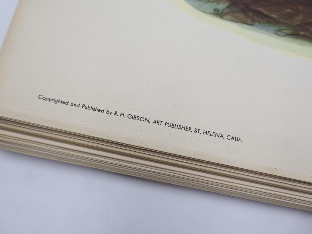 Large Stack of Vintage Lithogravure Prints of Himalayan Impeyans - 4