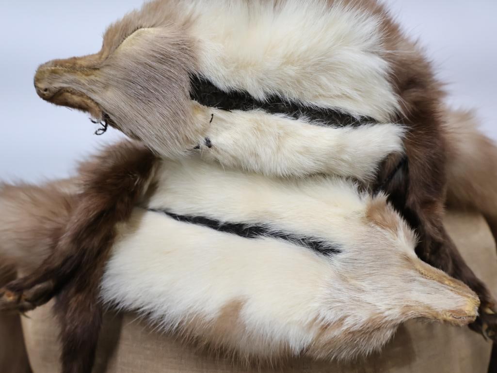 Two Vintage Mink Scarves - 11