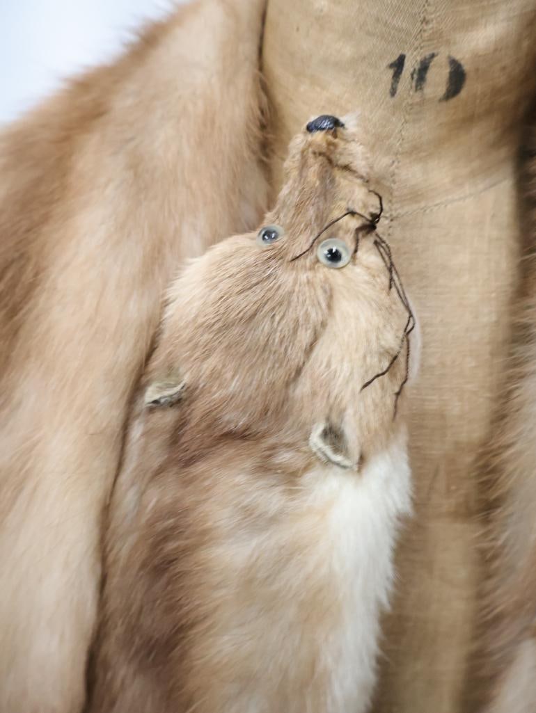 Two Vintage Mink Scarves - 7
