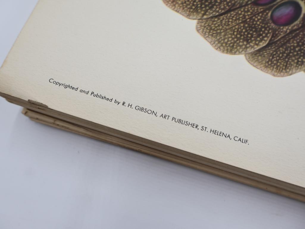 Large Stack of Vintage Lithogravure Prints of Germain's Peacock-Pheasant - 4
