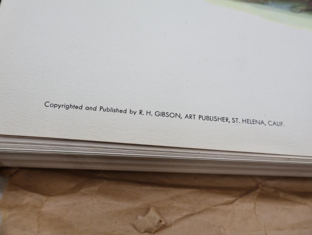 Large Stack of Vintage Lithogravure Prints of Himalayan Impeyans - 4