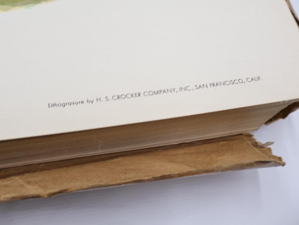 Large Stack of Vintage Lithogravure Prints of Himalayan Impeyans - 5