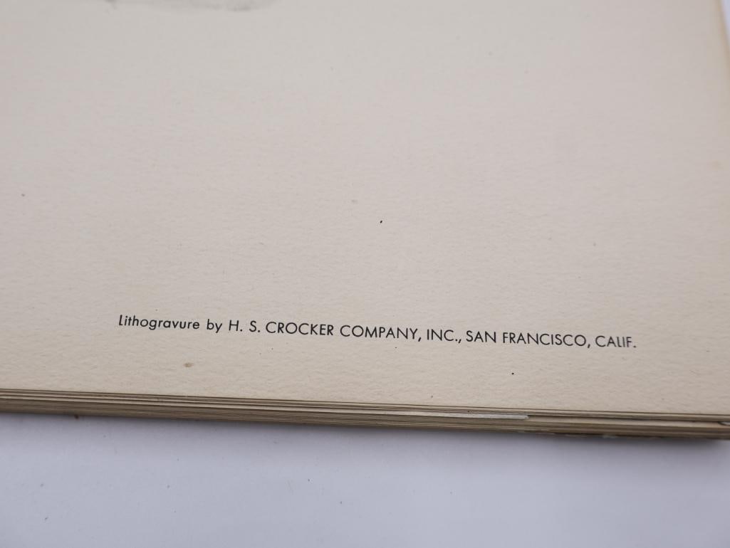 Stack of Vintage Lithogravure Prints of Golden Pheasant - 5