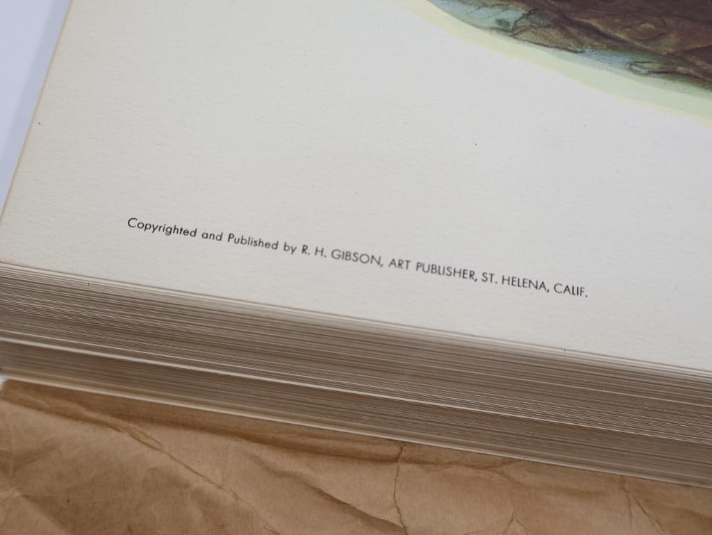 Large Stack of Vintage Lithogravure Prints of Himalayan Impeyans - 5