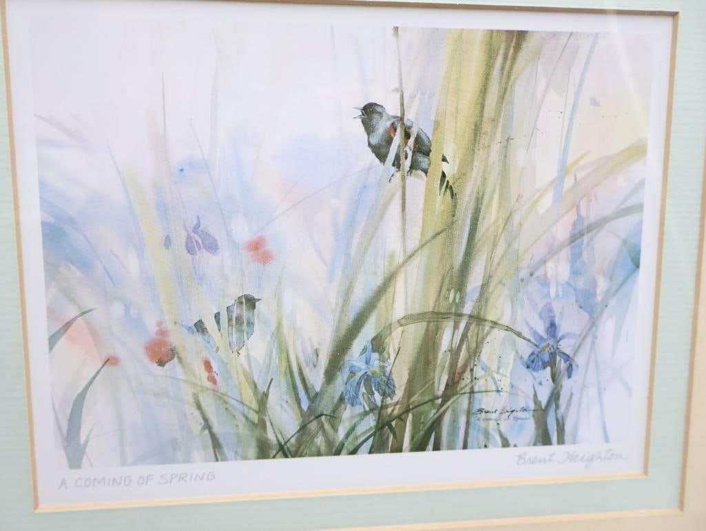 Various Bird Artwork and Prints - 8