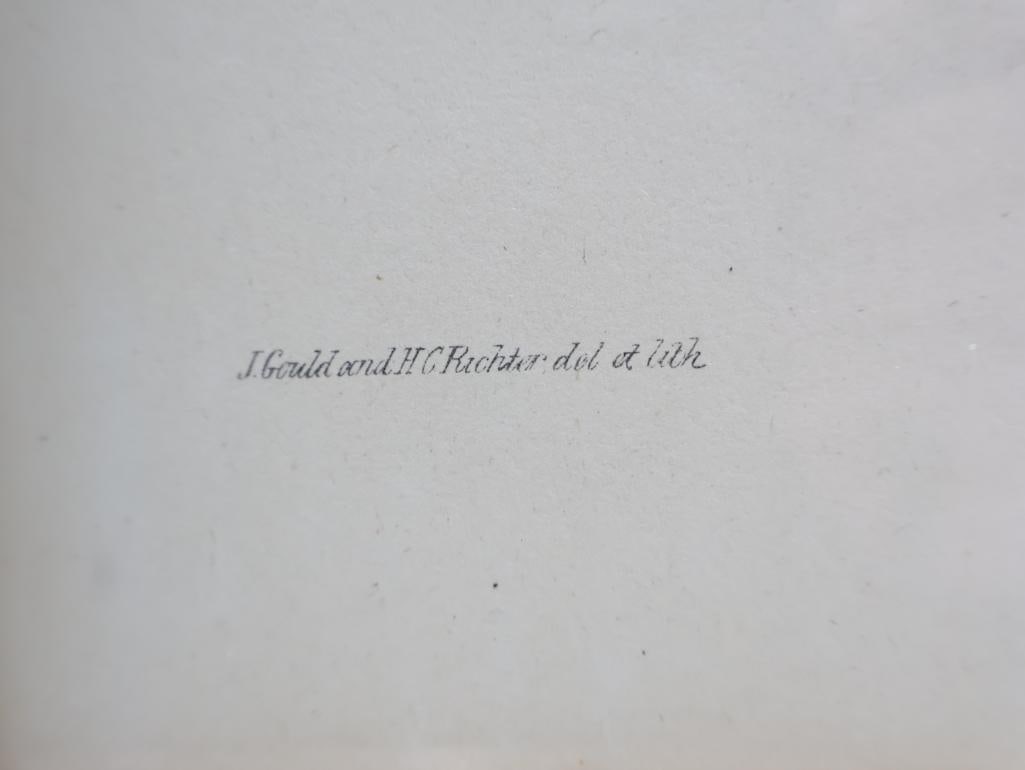 Vintage Bird Lithograph Prints - 5
