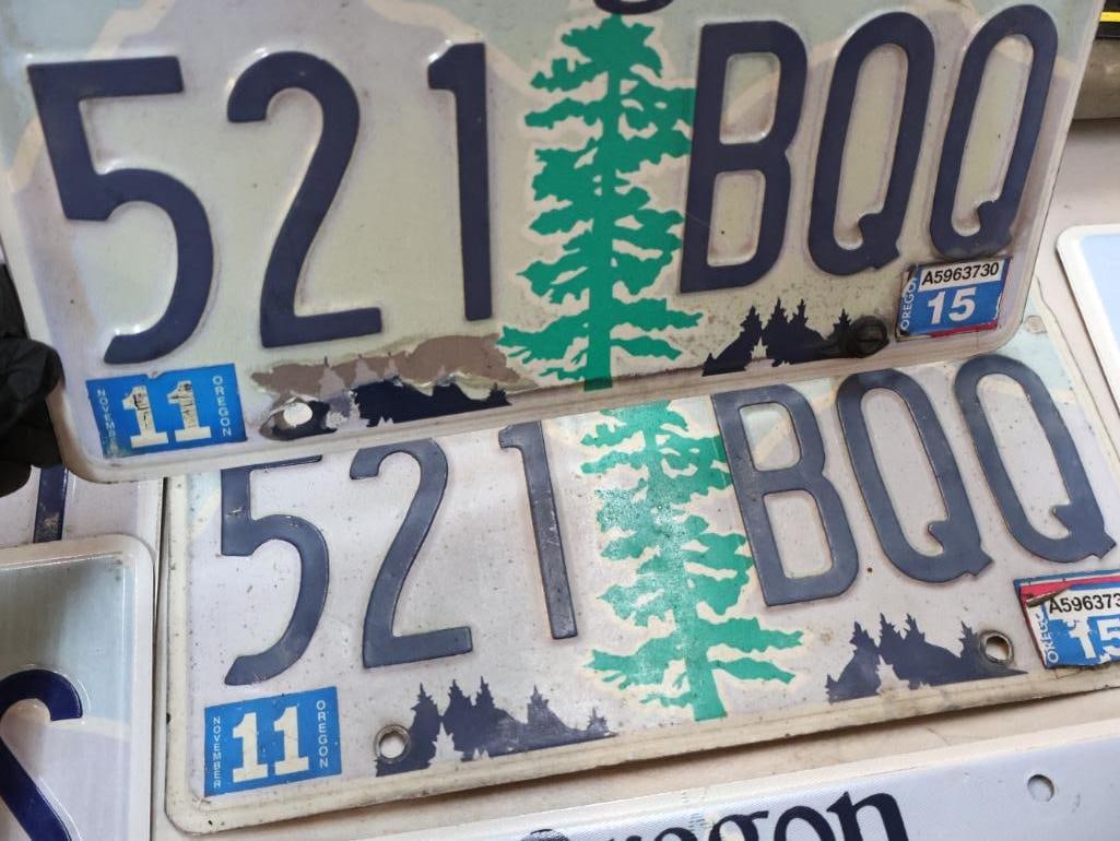 Collection of Oregon License Plates - 10