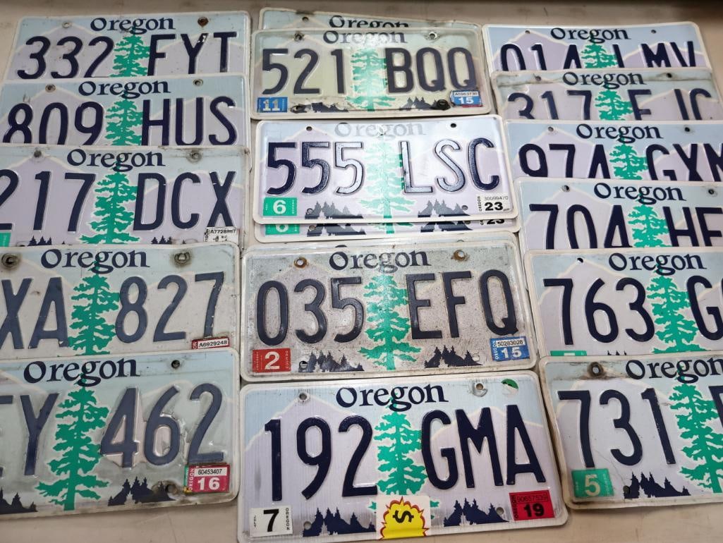 Collection of Oregon License Plates: Includes matched pairs