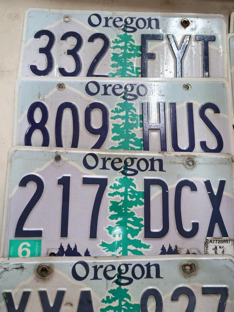 Collection of Oregon License Plates - 2