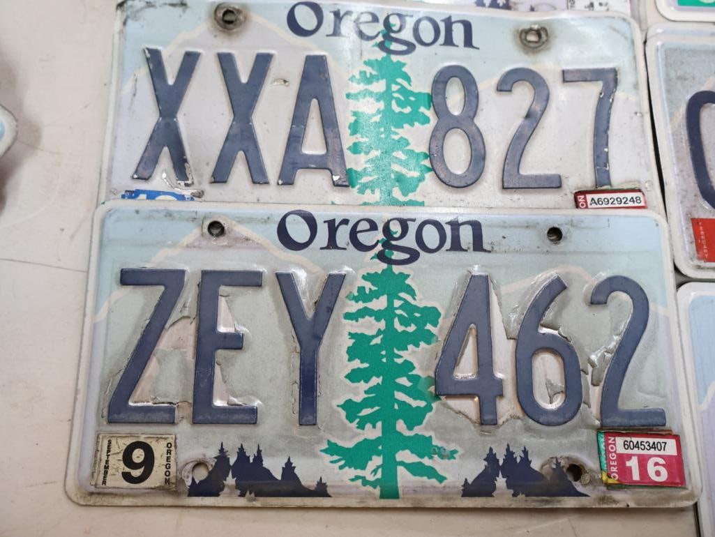 Collection of Oregon License Plates - 3