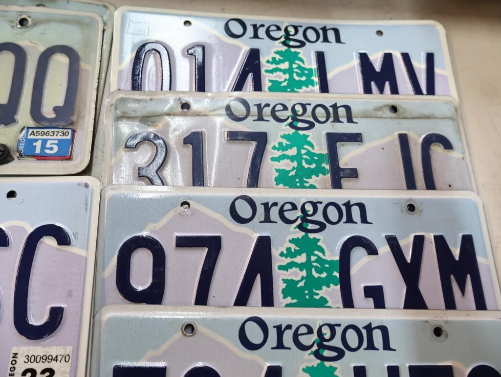 Collection of Oregon License Plates - 4